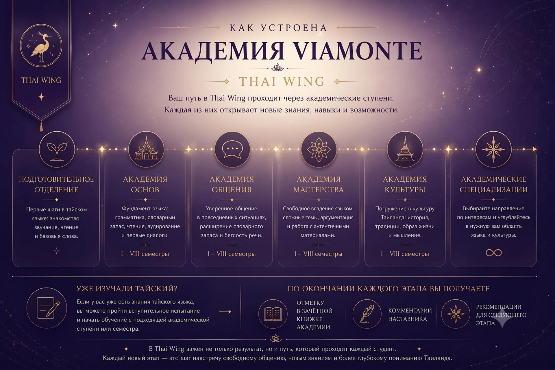 Как устроена Академия Viamonte — Thai Wing: академические ступени обучения